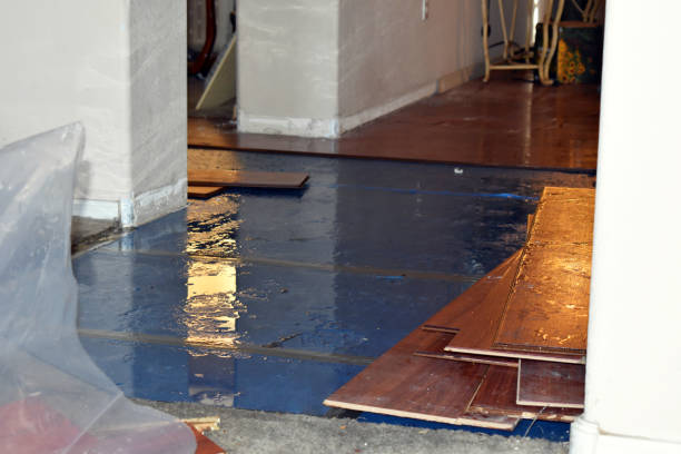 Professional Basement Flood Cleanup technician working in Holmesville, OH
